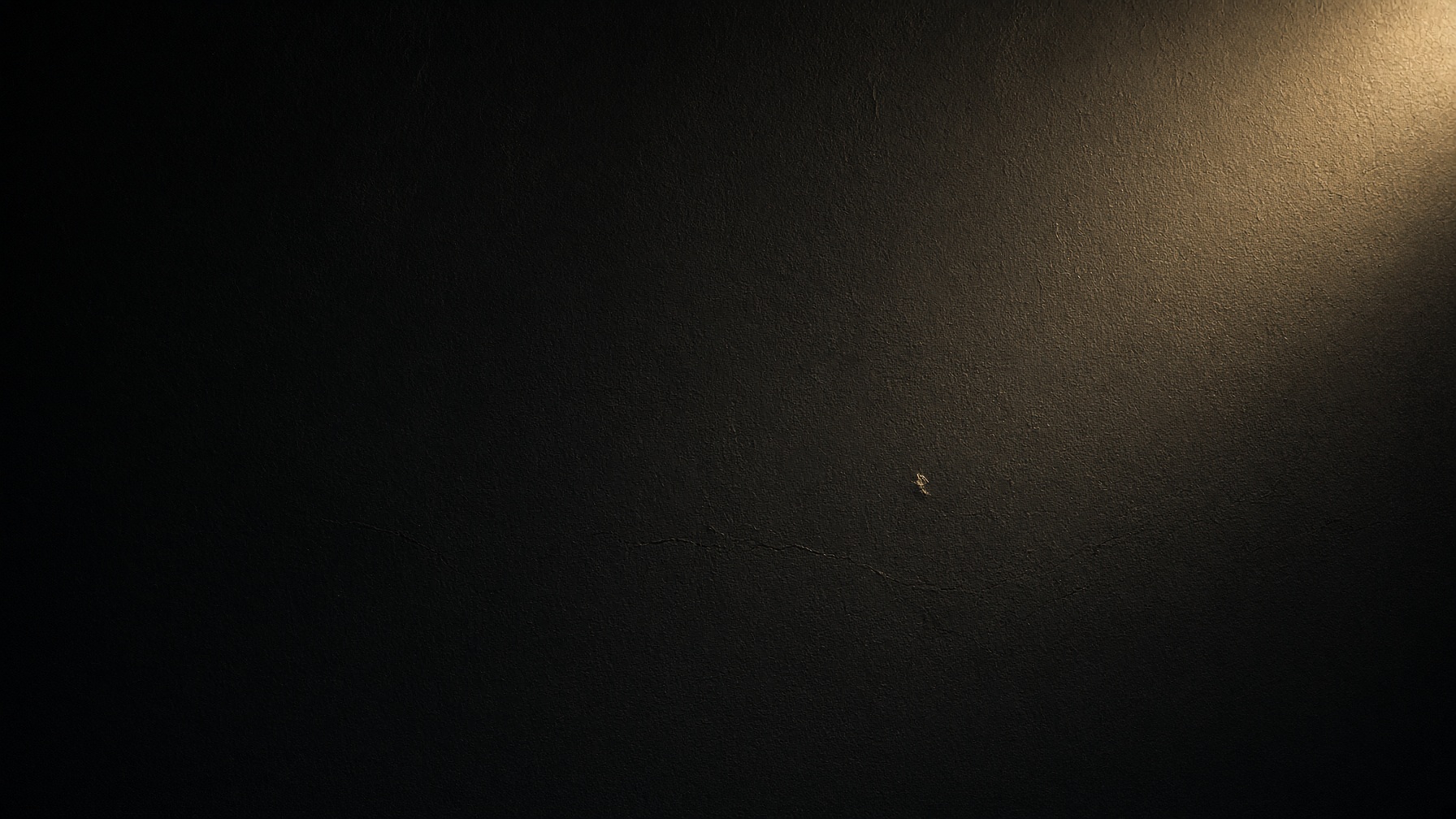 A nearly empty dark museum wall. One warm light. Silence after too many numbers.